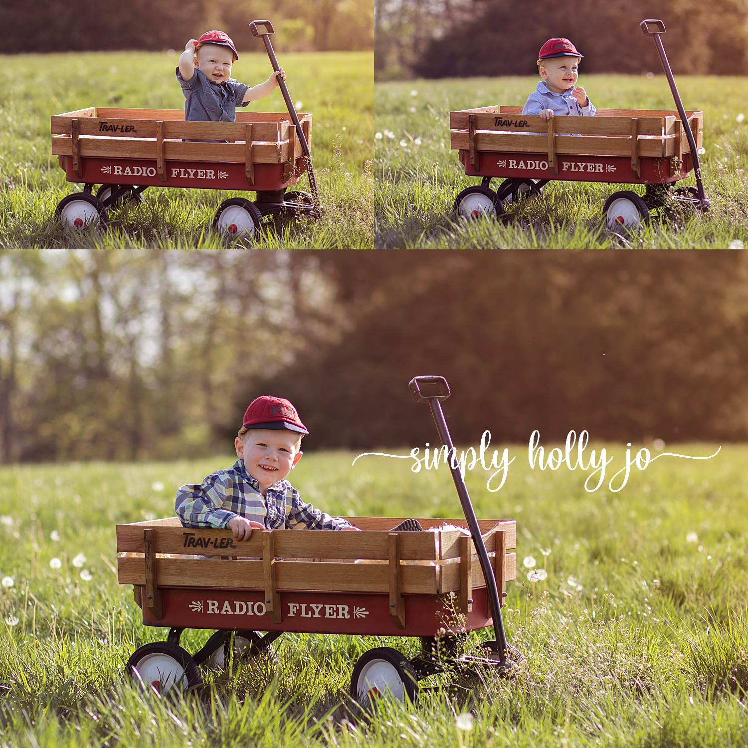 Black Hoof Park Extended Family Session | Carey Family